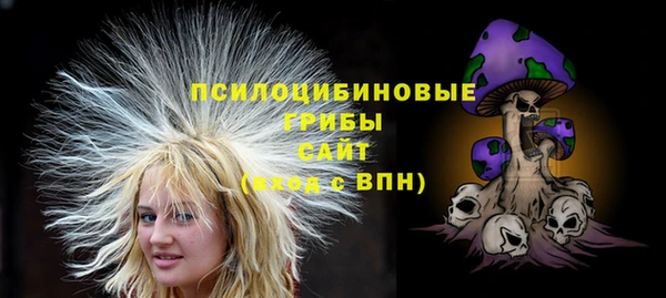 прущий лед Лиски